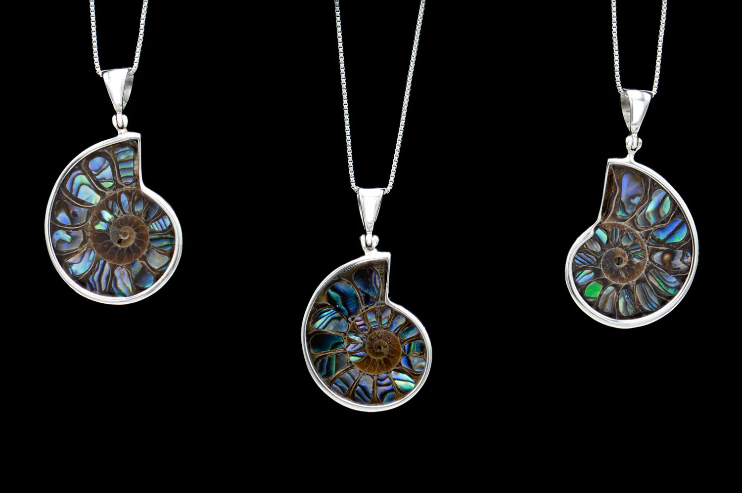 Ammonite & Abalone Necklace - Image 5