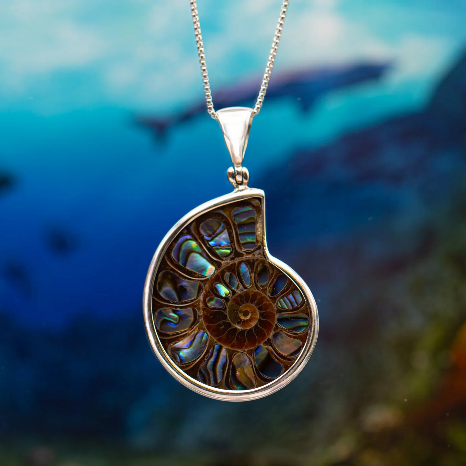 Ammonite & Abalone Necklace - Image 6