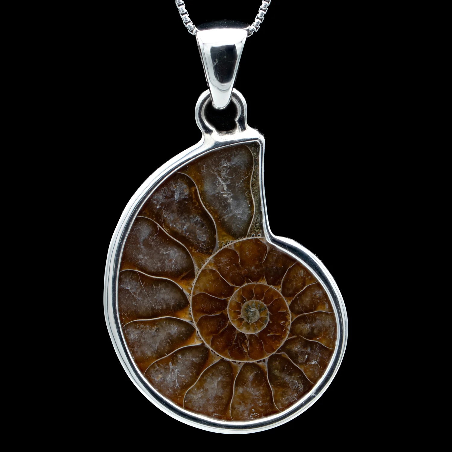 Ammonite Jewelry - Image 3