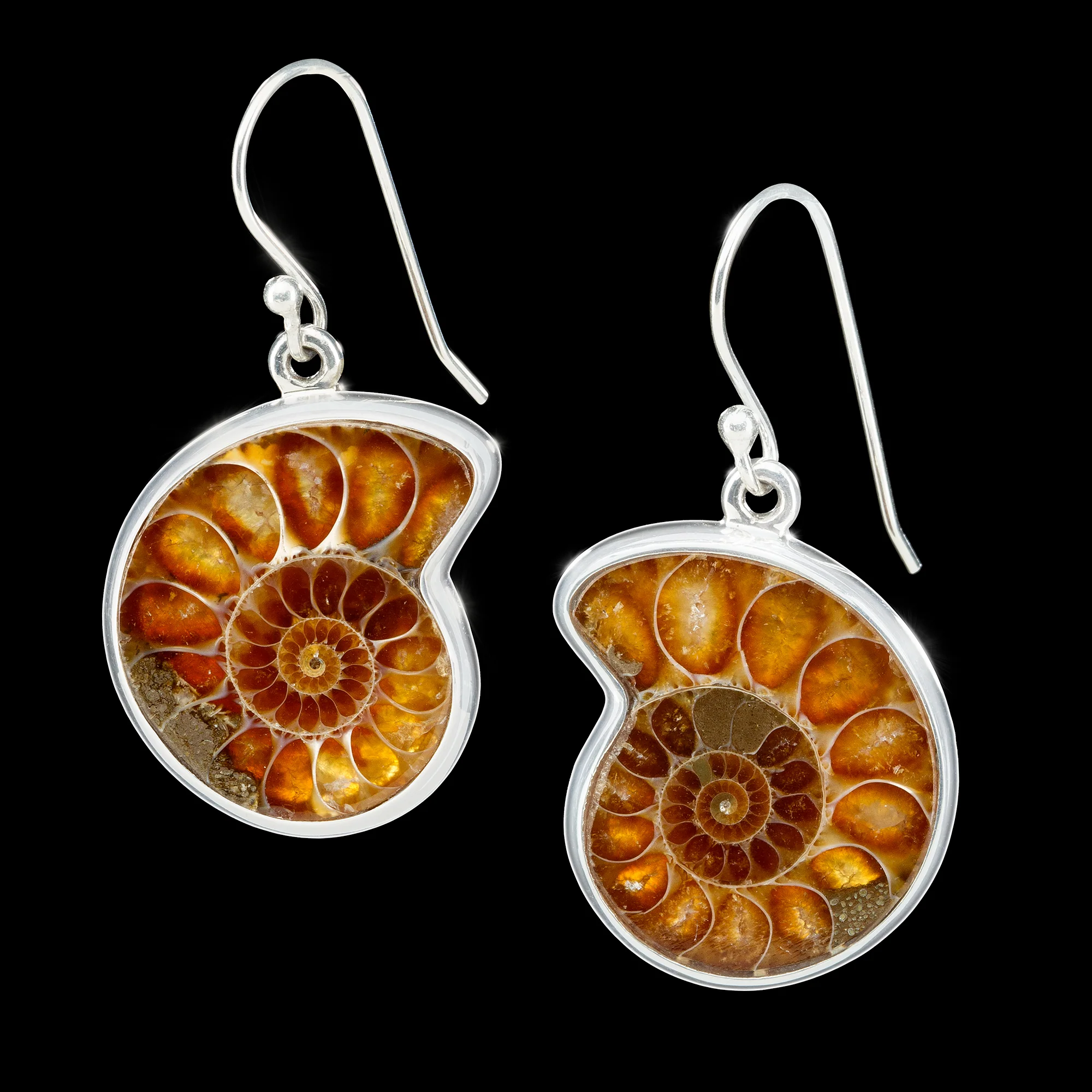 Ammonite Jewelry - Image 4
