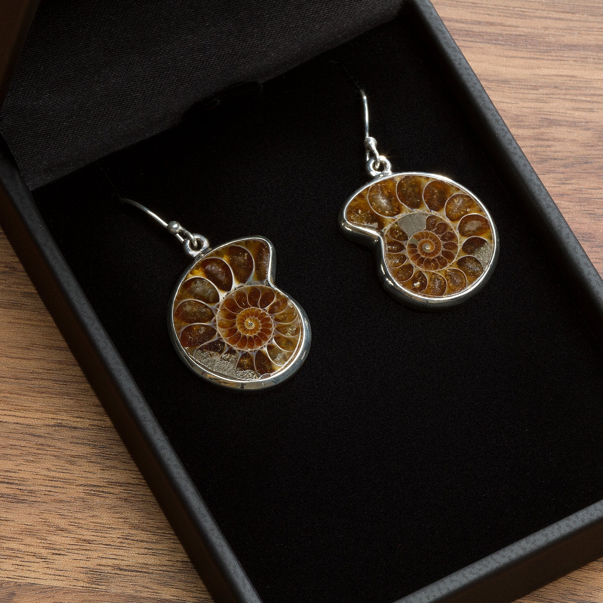Ammonite Jewelry - Image 5