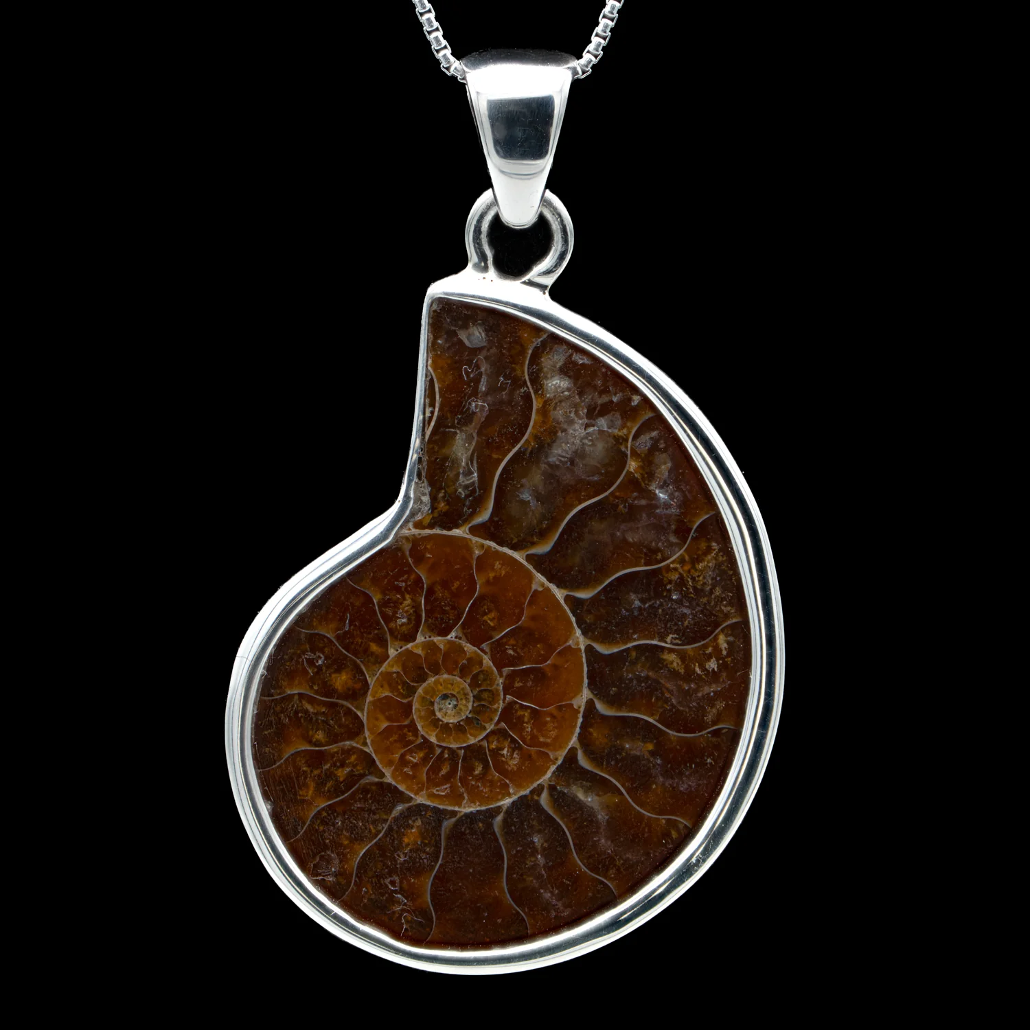 Ammonite Jewelry - Image 7