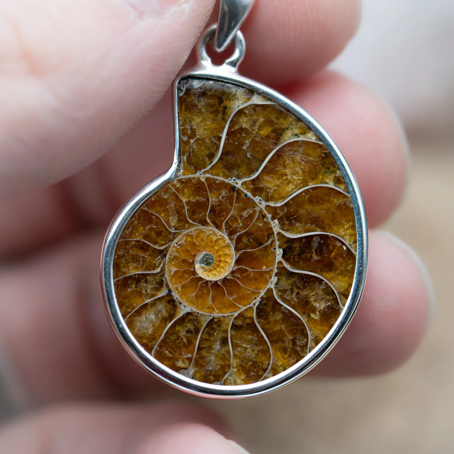 Ammonite Jewelry - Image 9