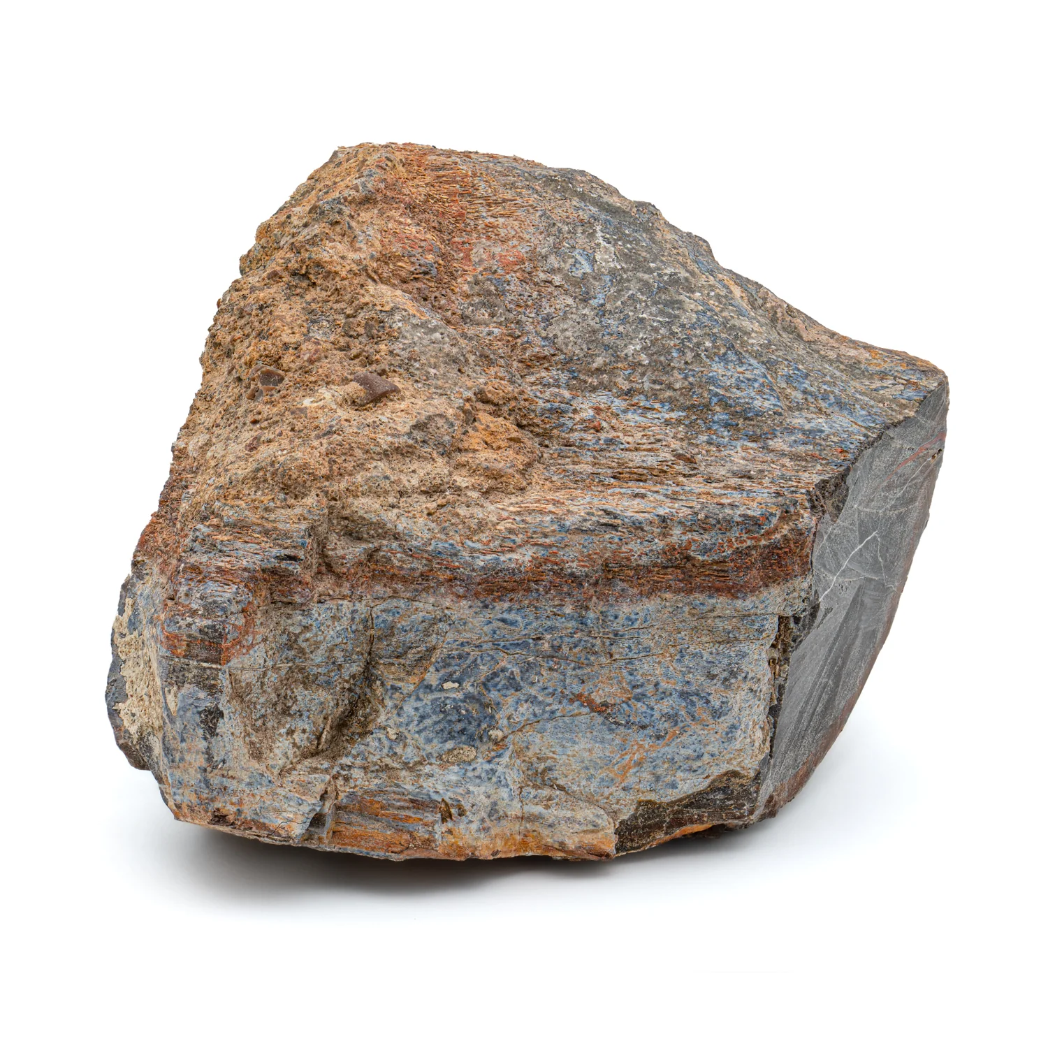 Apatosaurus Bone - Showcase 5.51" Fossil - Image 3