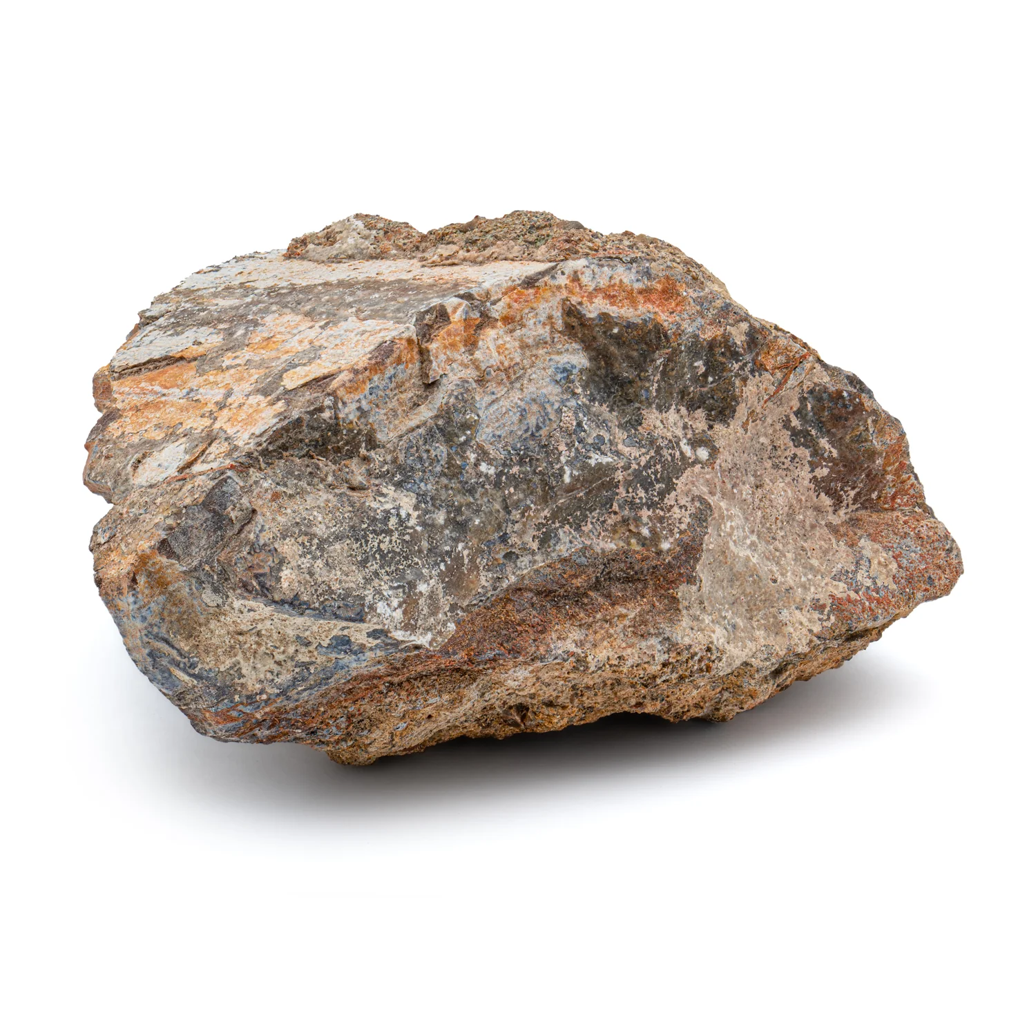 Apatosaurus Bone - Showcase 5.51" Fossil - Image 4