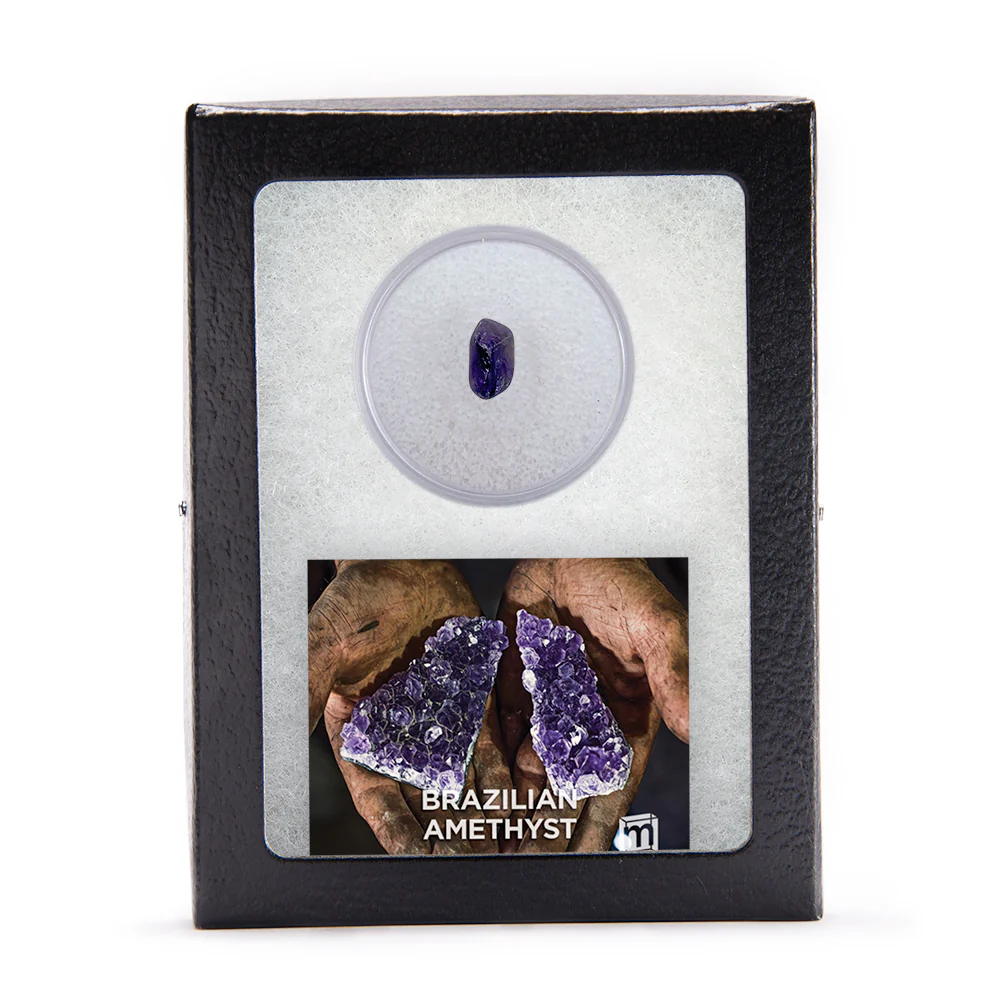 Amethyst Classic Riker Box Specimen - Brazilian - Image 4