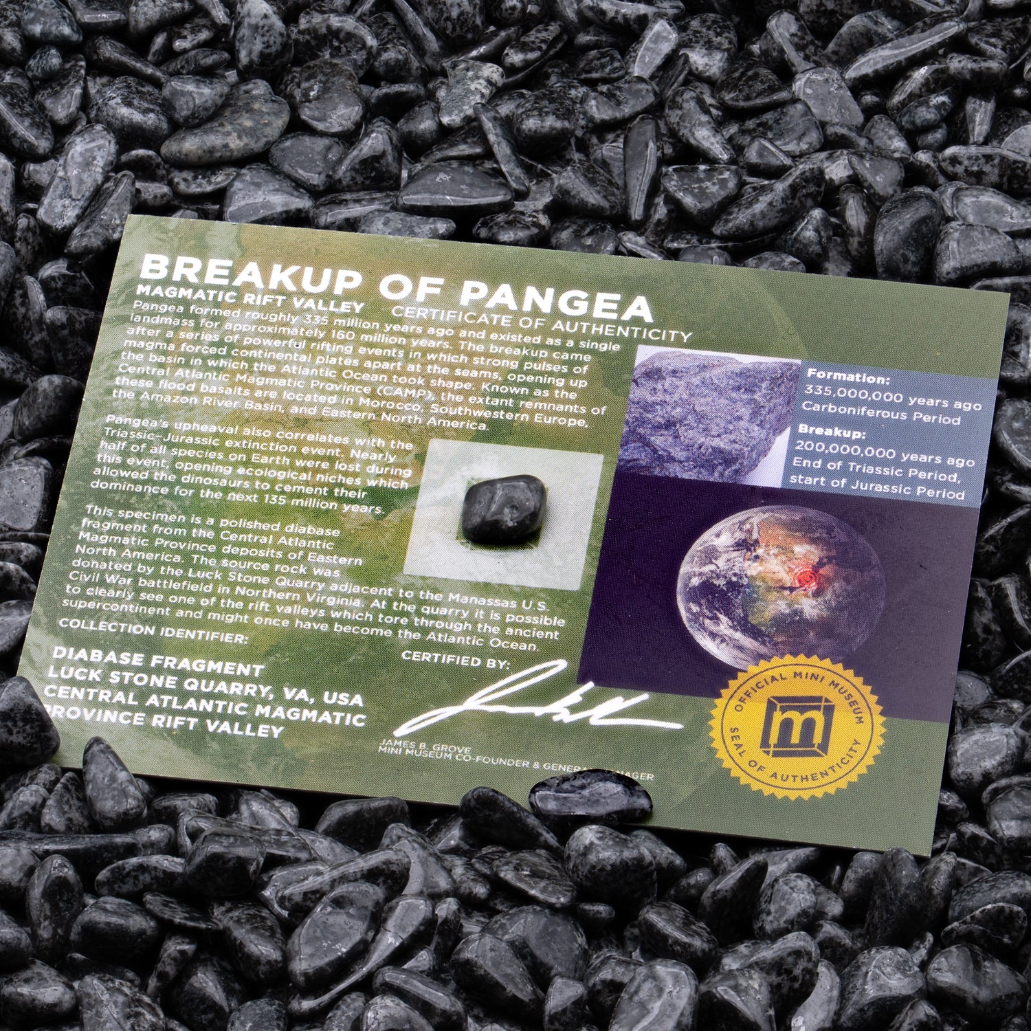 Breakup of Pangea - Display Card - Image 6