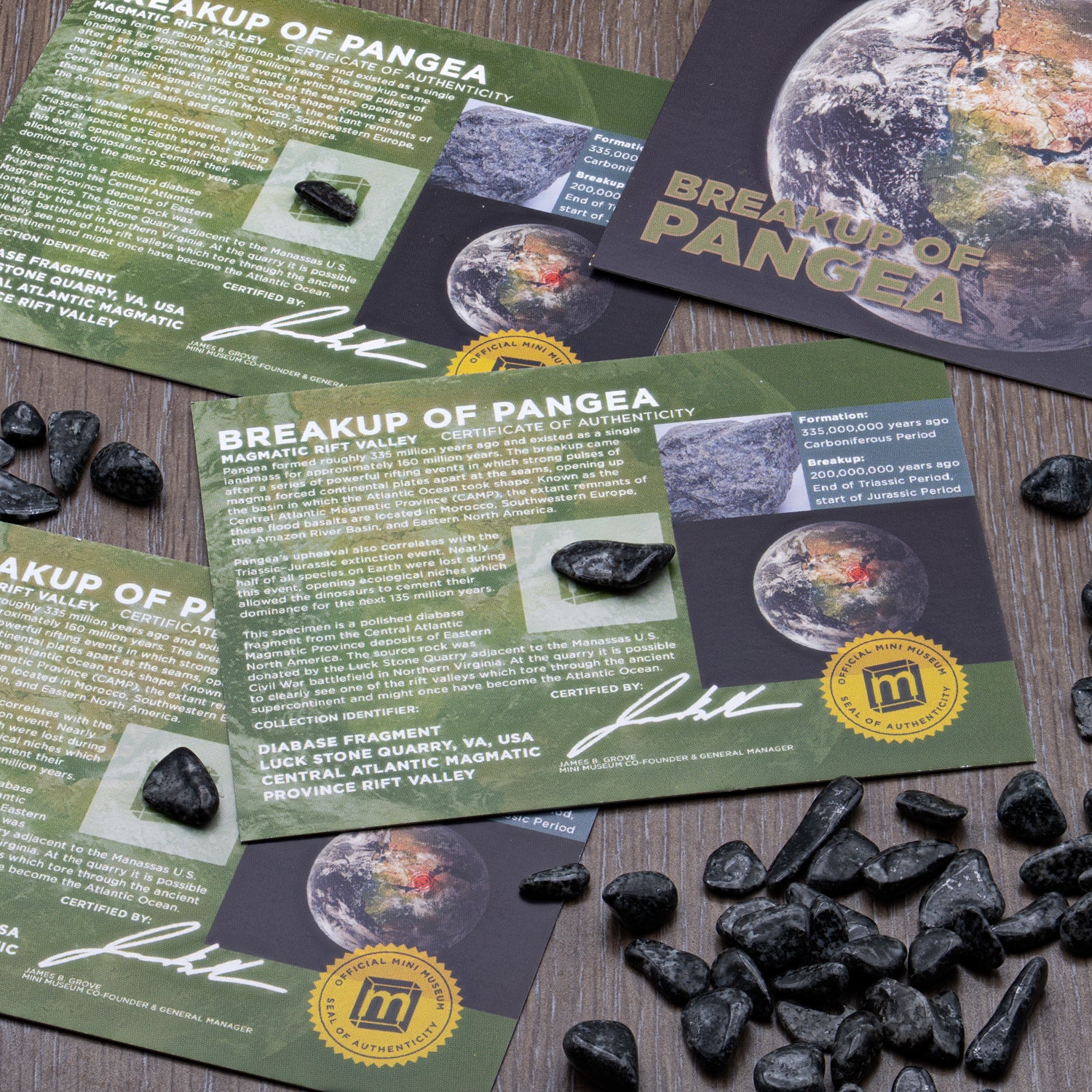 Breakup of Pangea - Display Card - Image 7