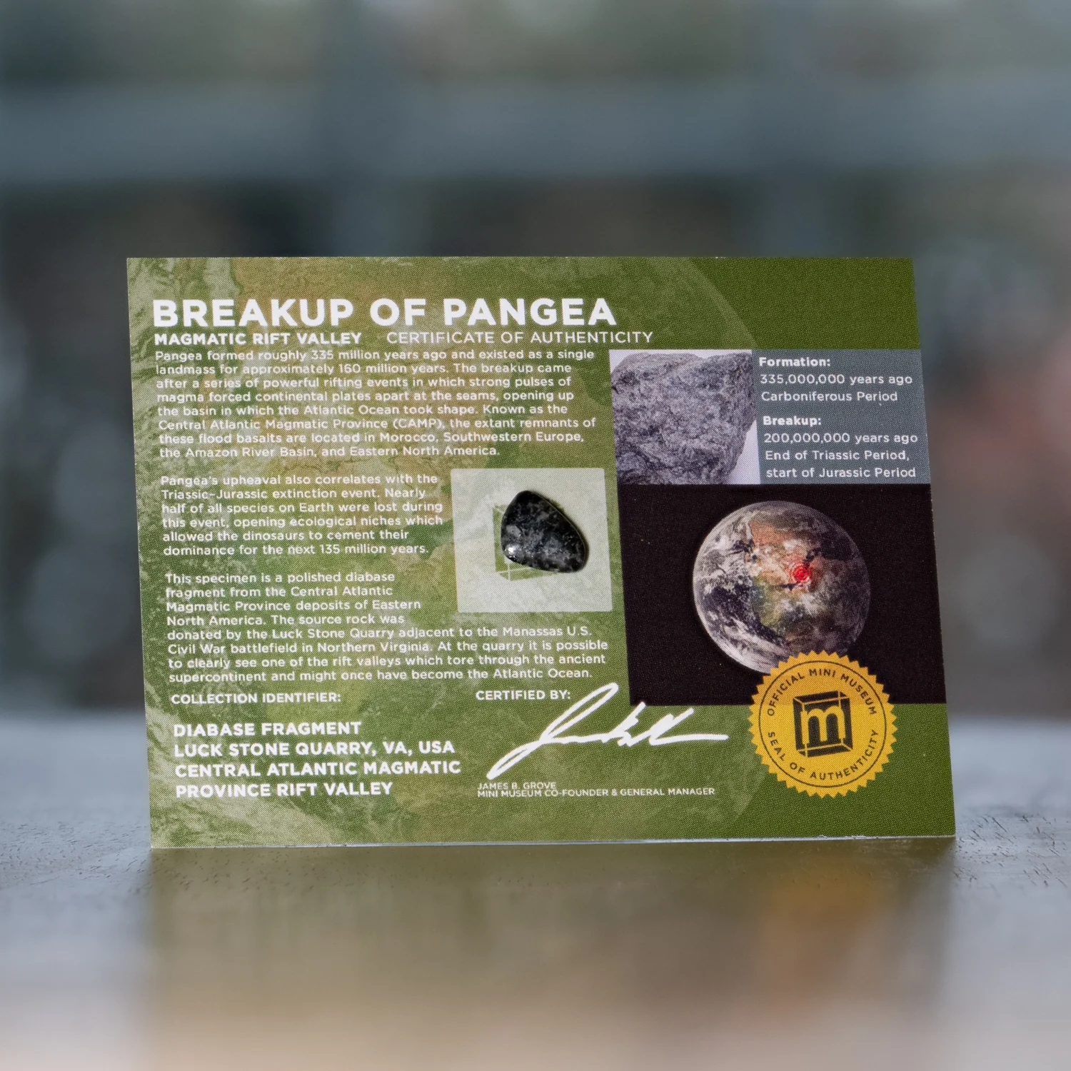 Breakup of Pangea - Display Card - Image 8