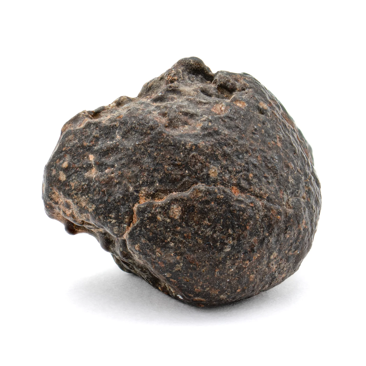 Chondritic Meteorite NWA 869 SOLD 6.79g - Image 4