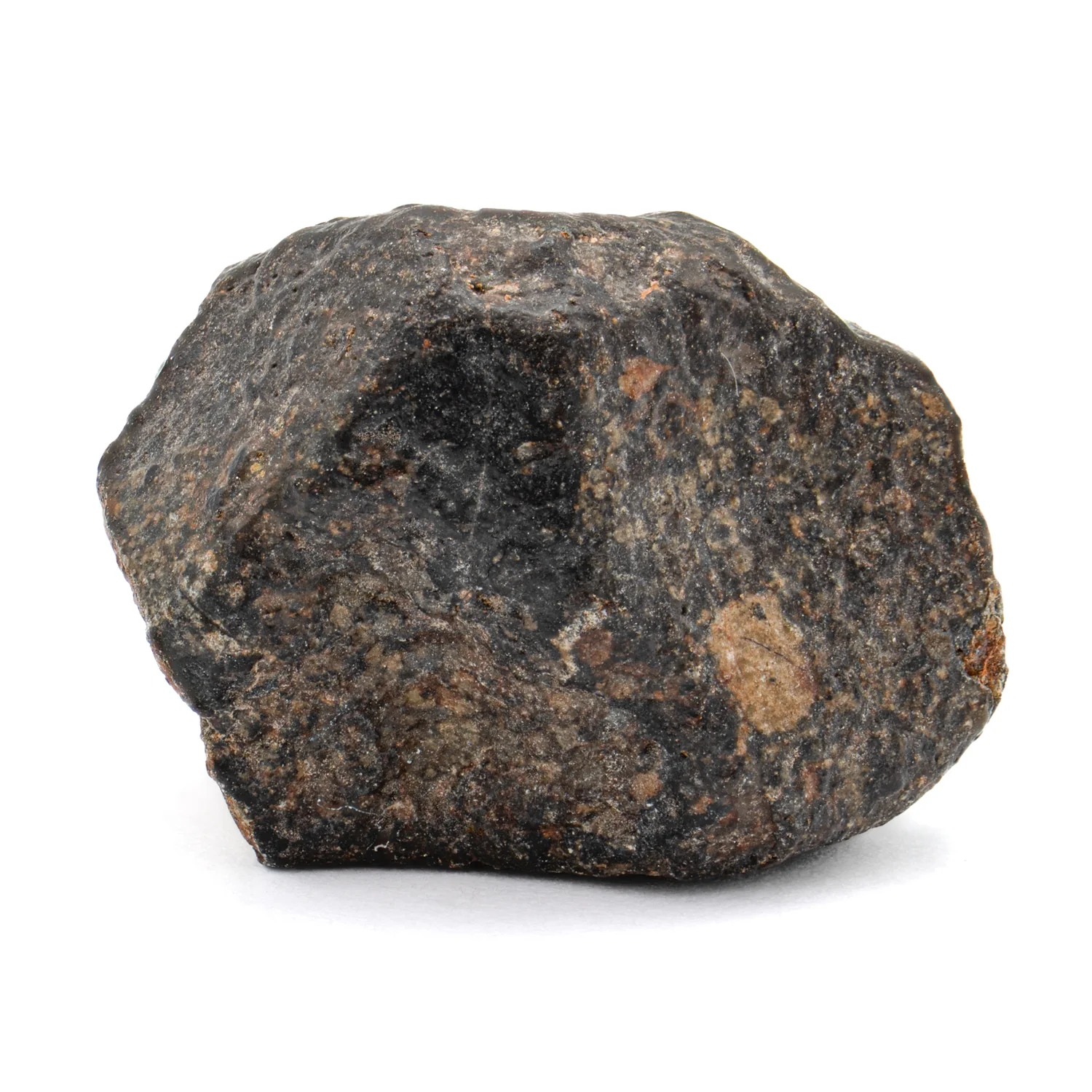 Chondritic Meteorite NWA 869 SOLD 7.09g - Image 3