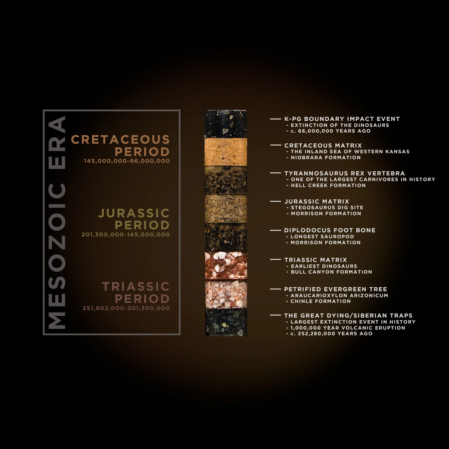 Core Sample Necklace - Image 7