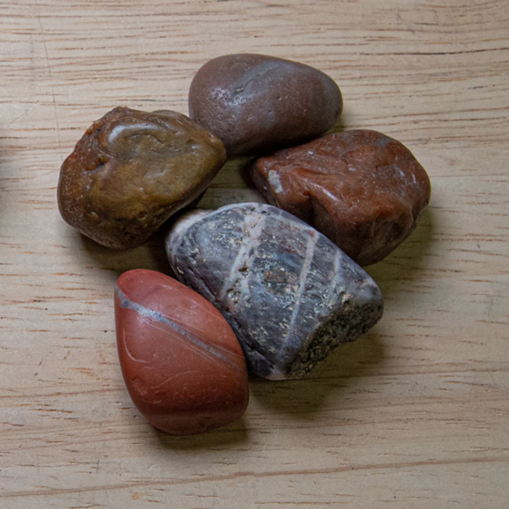 Dinosaur Gastrolith - Gut Stone - Image 4