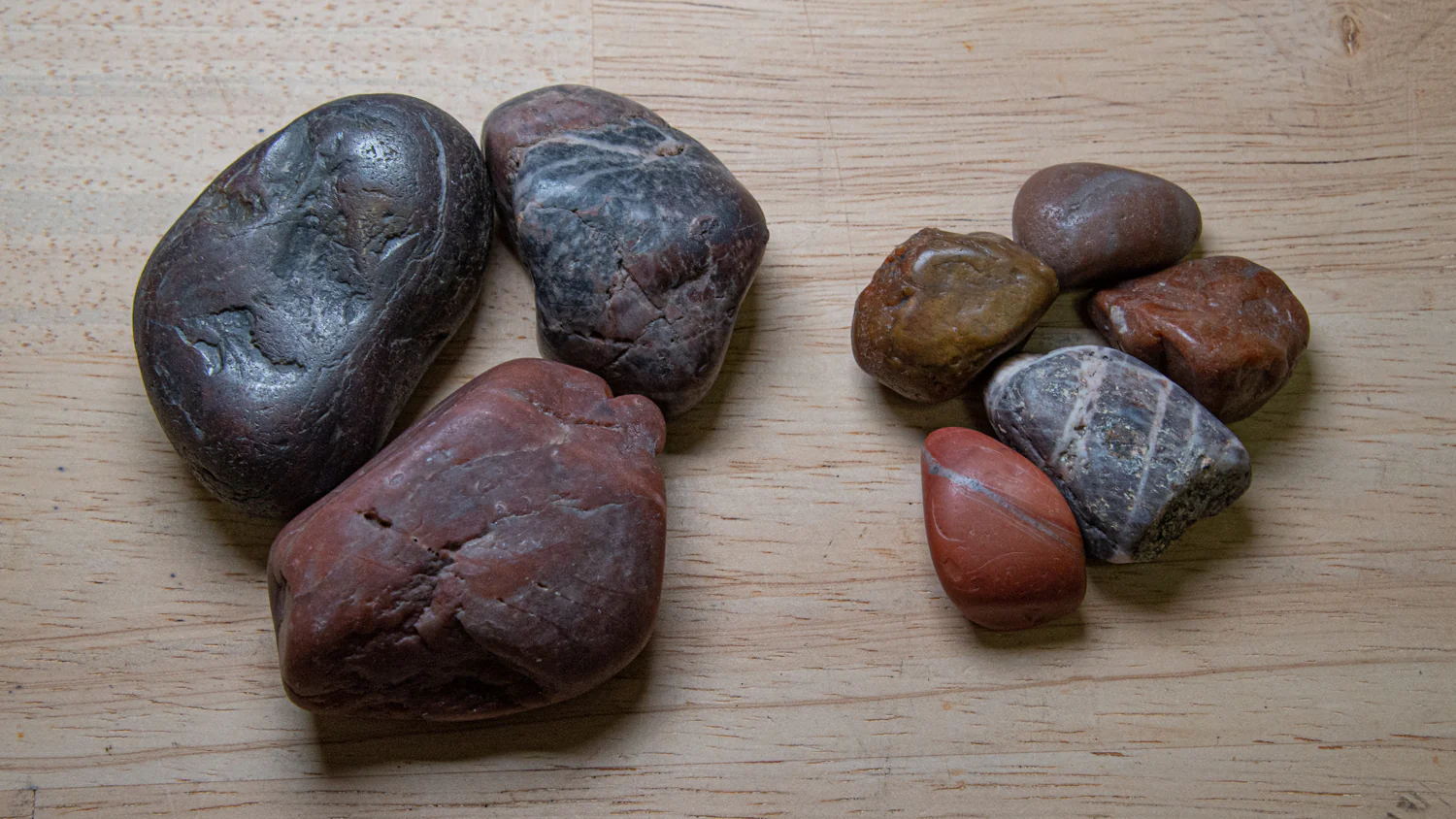 Dinosaur Gastrolith - Gut Stone - Image 5