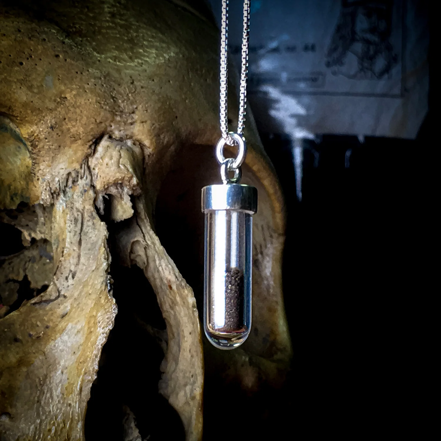 Dracula Soil Vial Necklace 🦇 - Image 10
