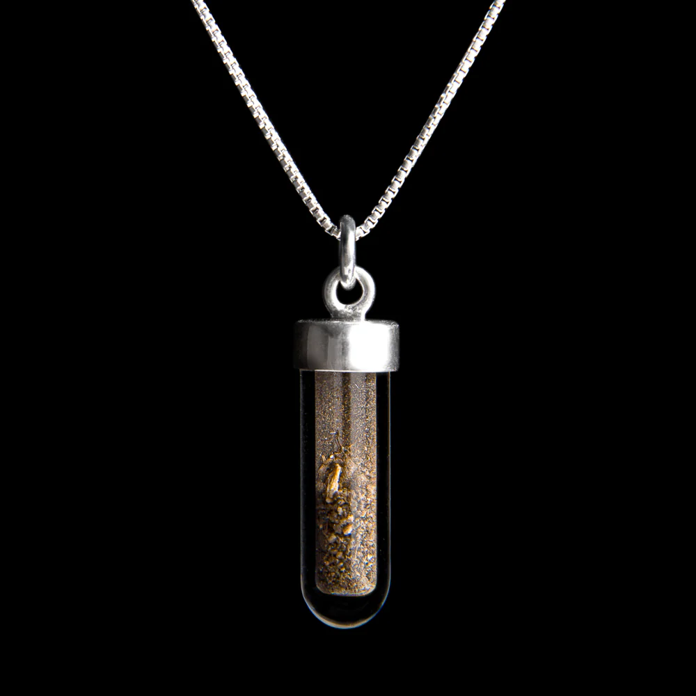 Dracula Soil Vial Necklace 🦇 - Image 8