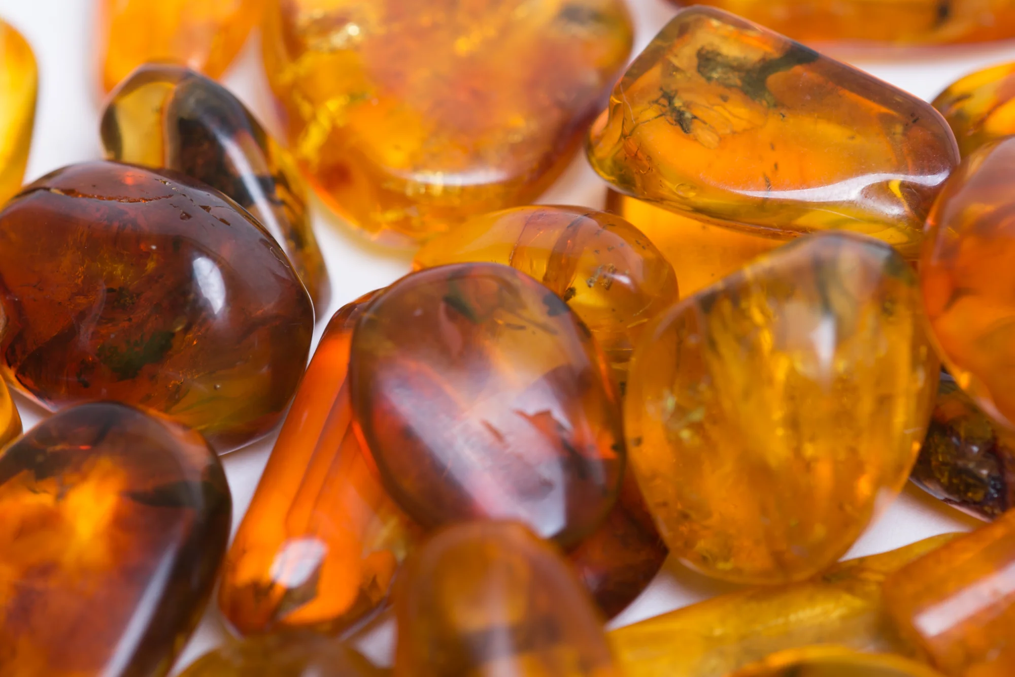 Insect in Amber - Baltic Amber - Image 10