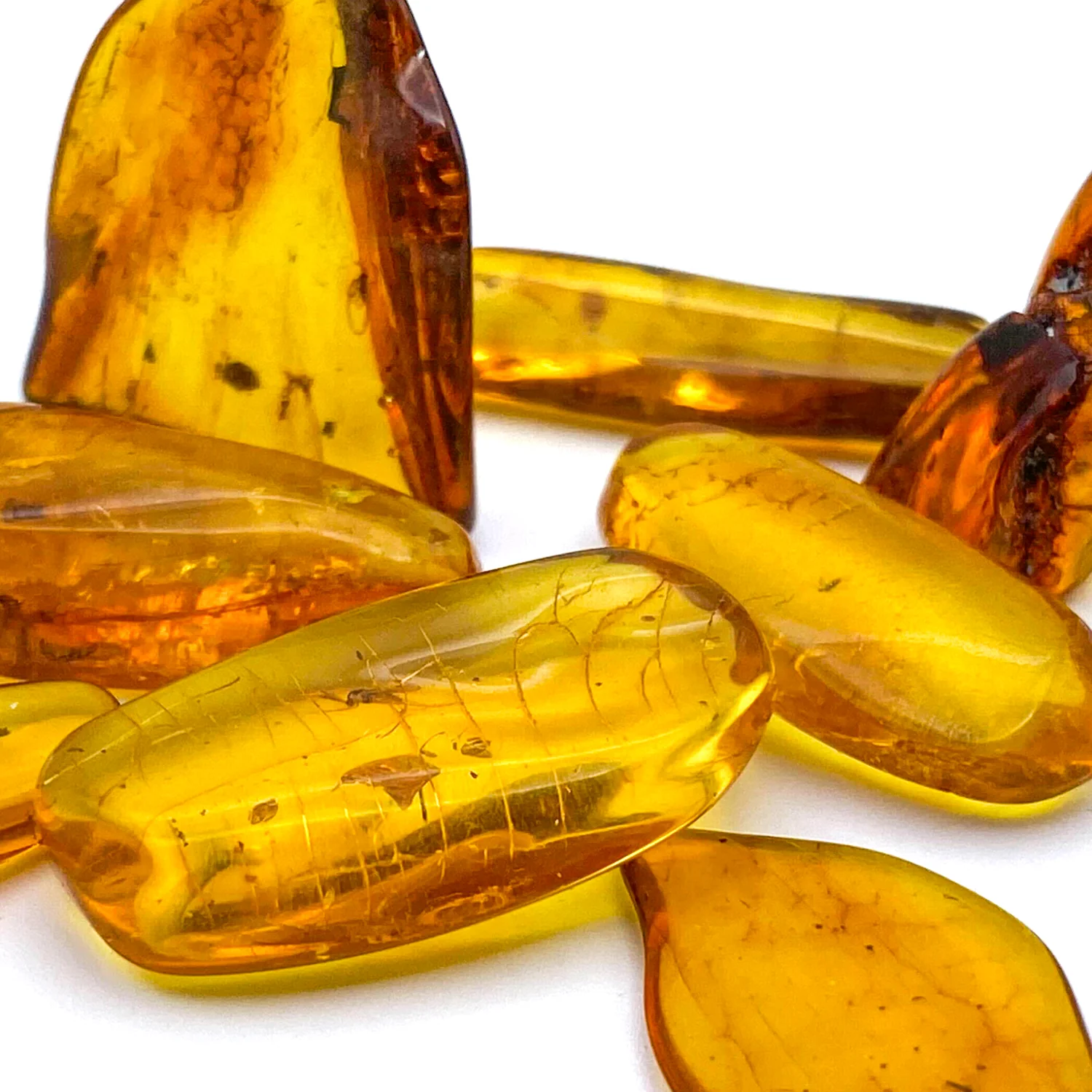 Insect in Amber - Baltic Amber - Image 12