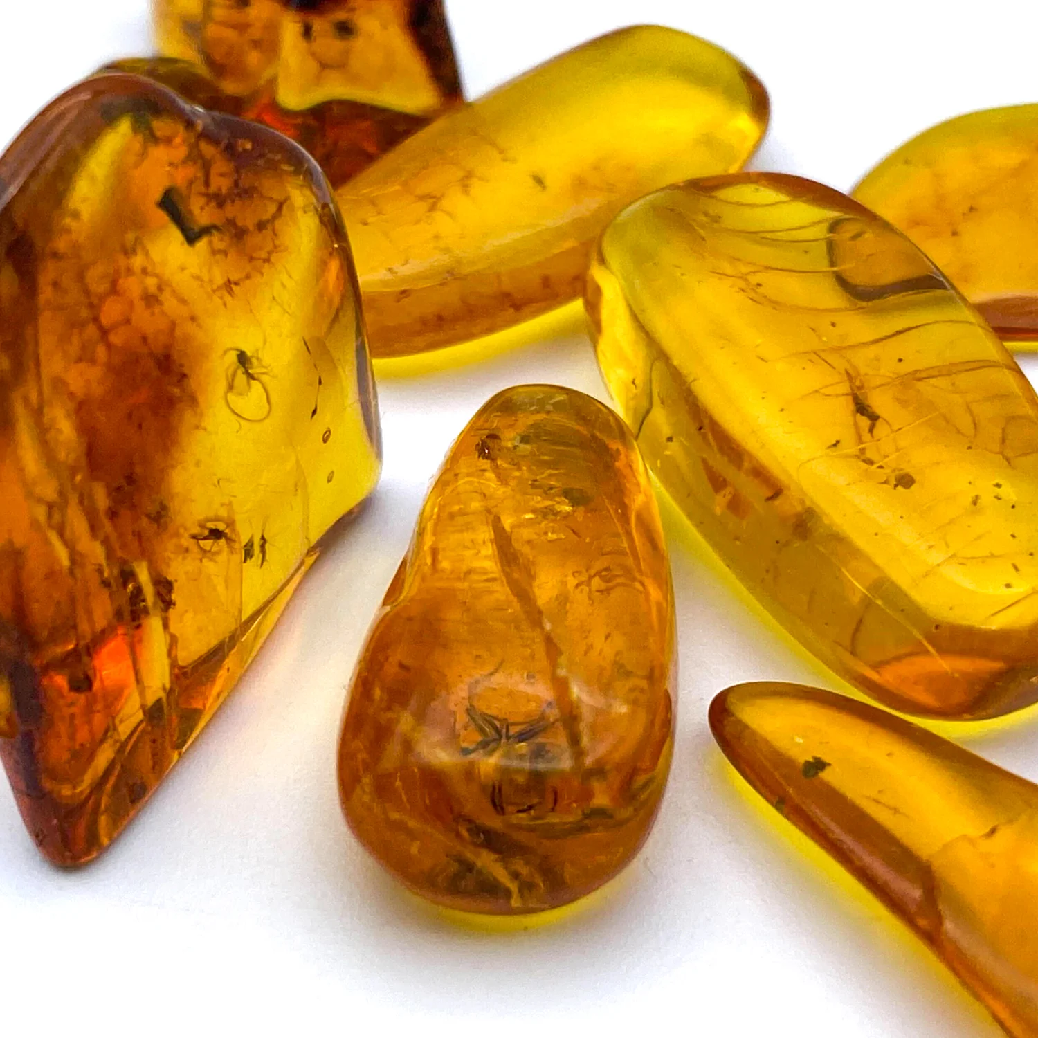 Insect in Amber - Baltic Amber - Image 13