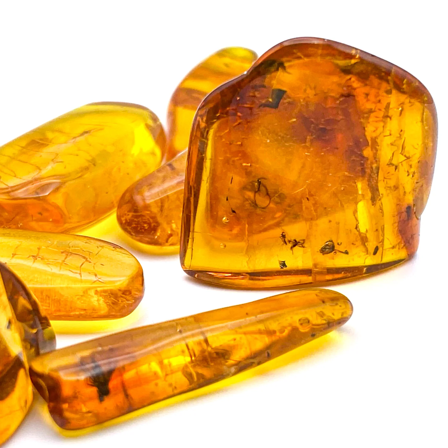 Insect in Amber - Baltic Amber - Image 14