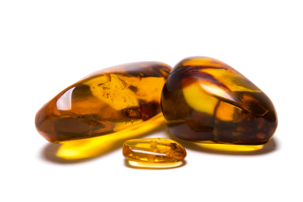 Insect in Amber - Baltic Amber - Image 3