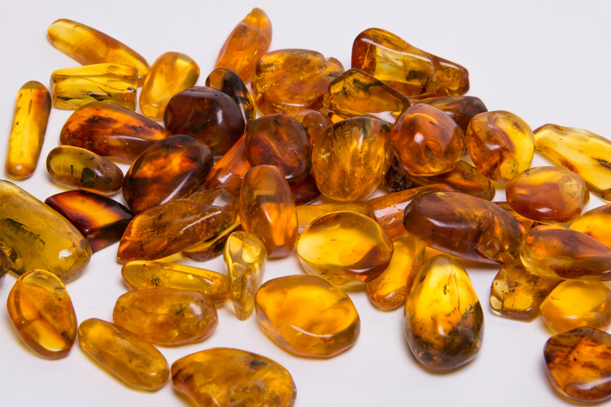 Insect in Amber - Baltic Amber - Image 9