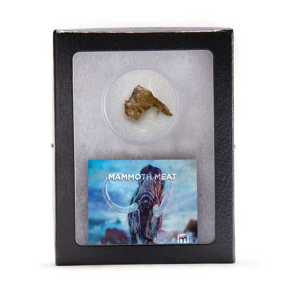 Mammoth Meat - Image 3