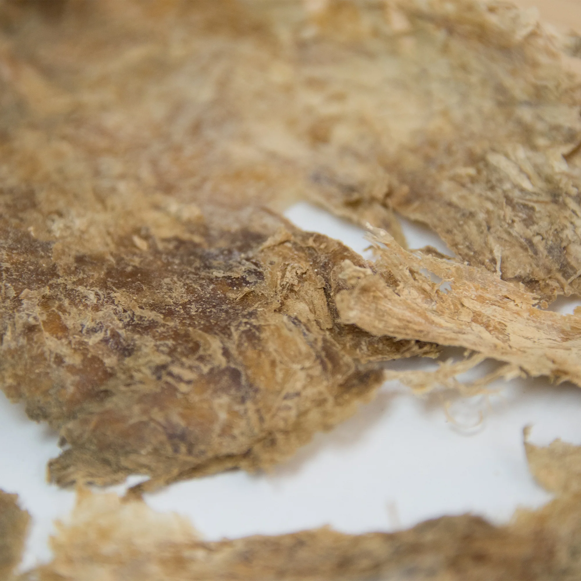 Mammoth Meat - Image 4