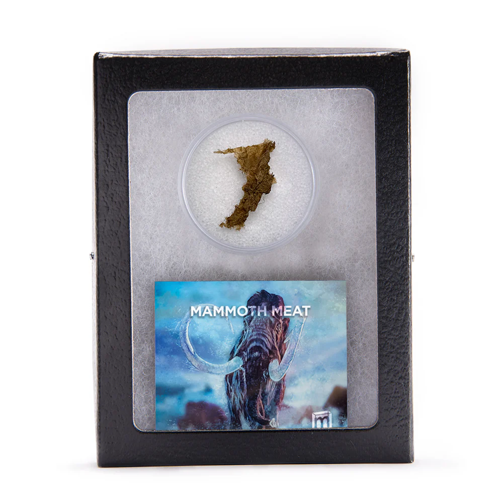 Mammoth Meat - Image 5