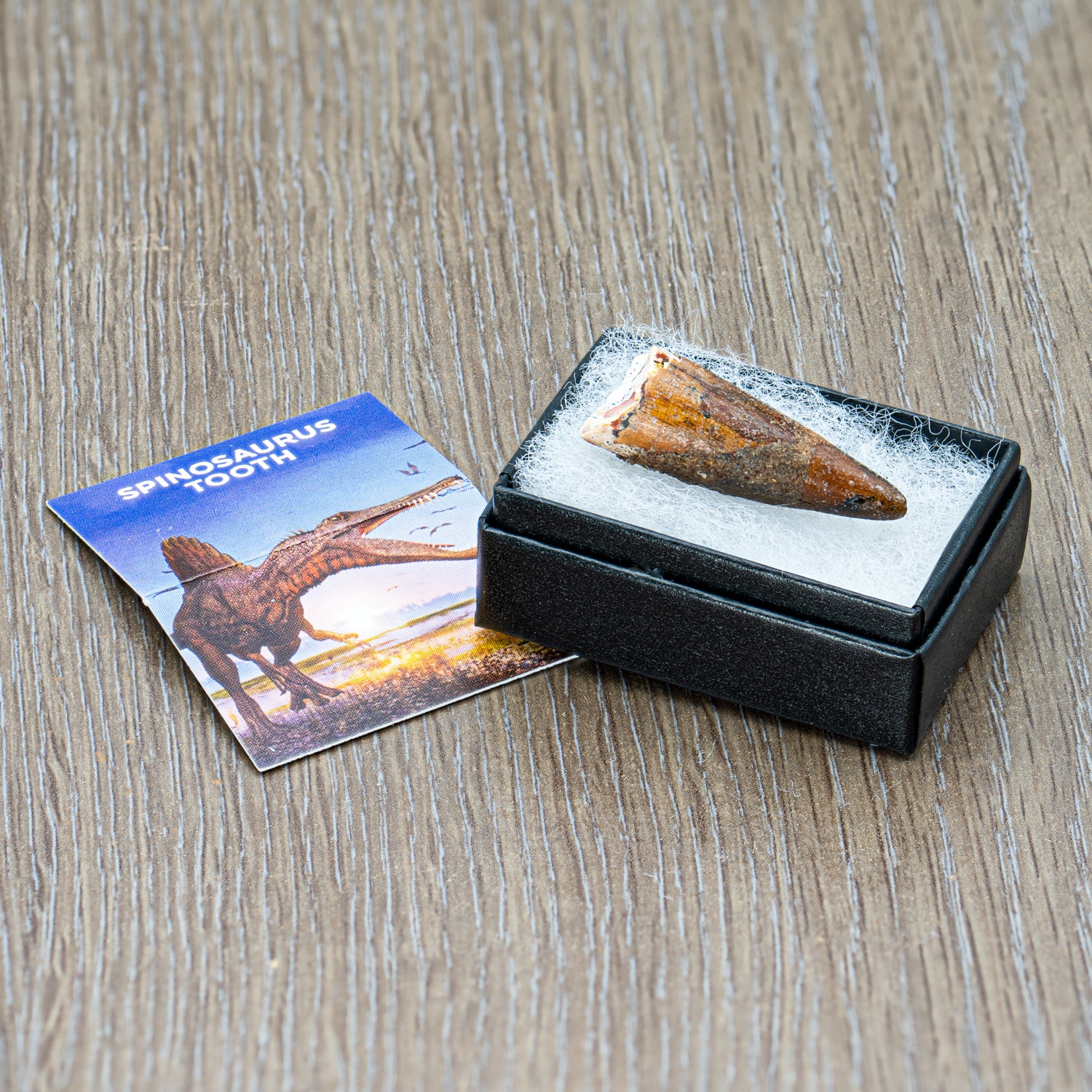 Mini Mesozoic Monsters Bundle - Image 3