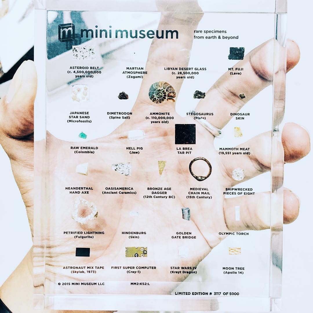 Mini Museum - Second Edition (LARGE - 26 Specimens) - Image 4