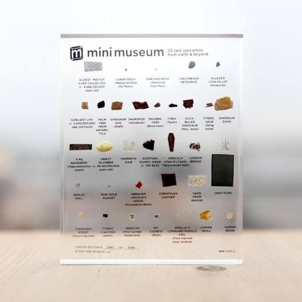 Mini Museum - First Edition (LARGE - 33 Specimens) - Image 3