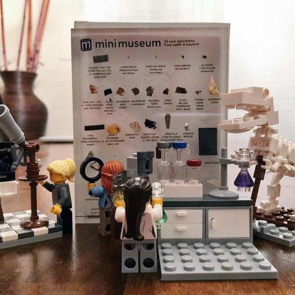 Mini Museum - First Edition (LARGE - 33 Specimens) - Image 5