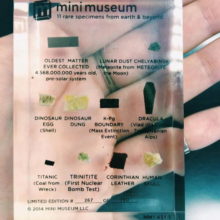 Mini Museum - First Edition (SMALL - 11 Specimens) - Image 4
