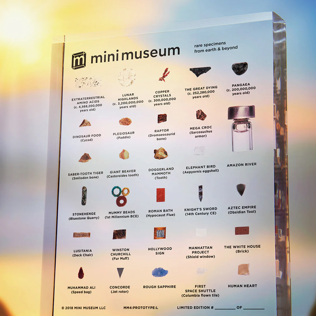 Mini Museum - Fourth Edition (LARGE - 29 Specimens) - Image 10