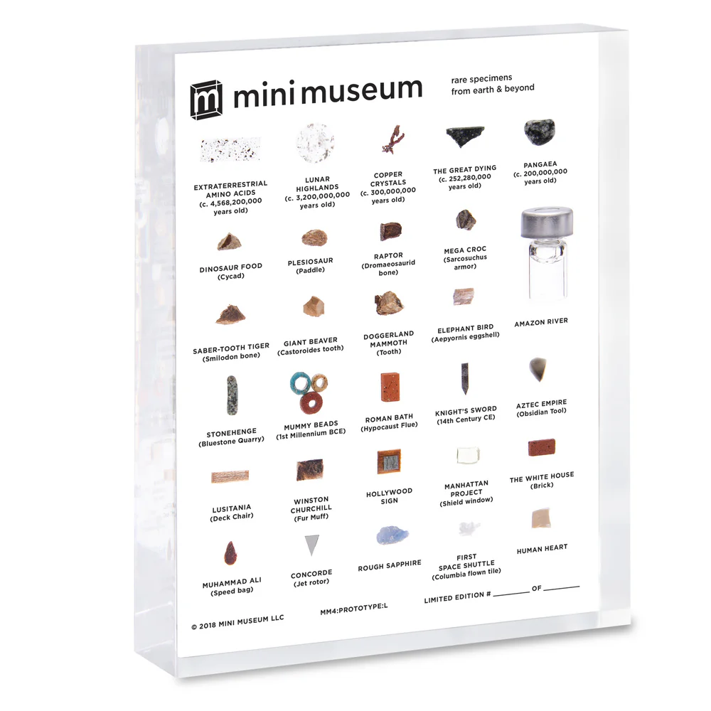 Mini Museum - Fourth Edition (LARGE - 29 Specimens) - Image 11