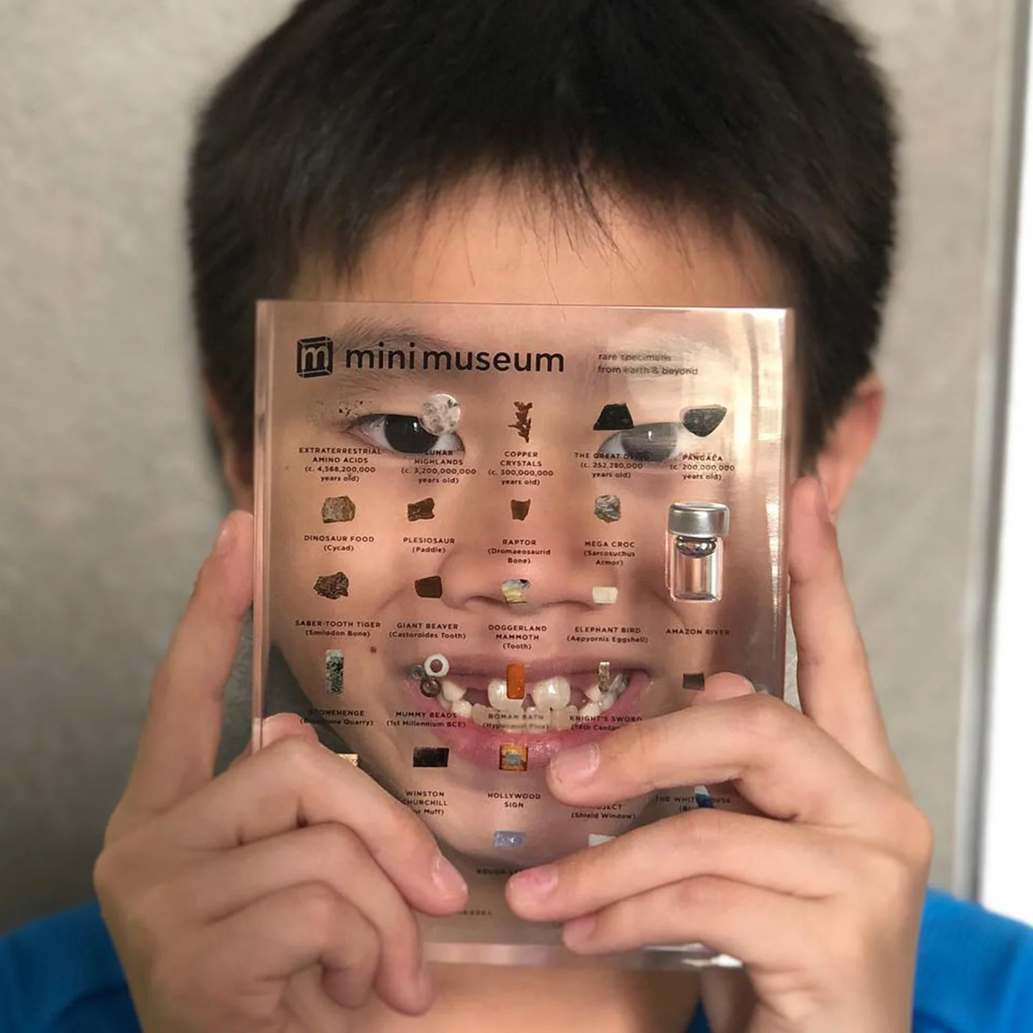 Mini Museum - Fourth Edition (LARGE - 29 Specimens) - Image 4