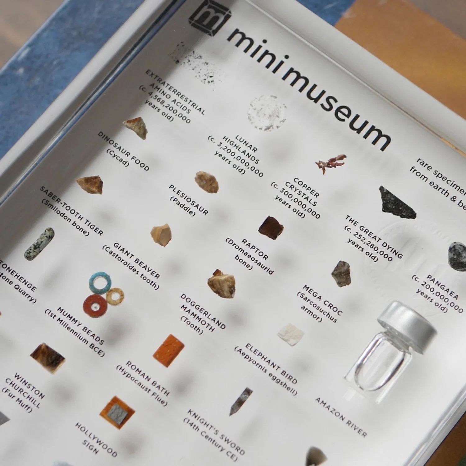 Mini Museum - Fourth Edition (LARGE - 29 Specimens) - Image 5