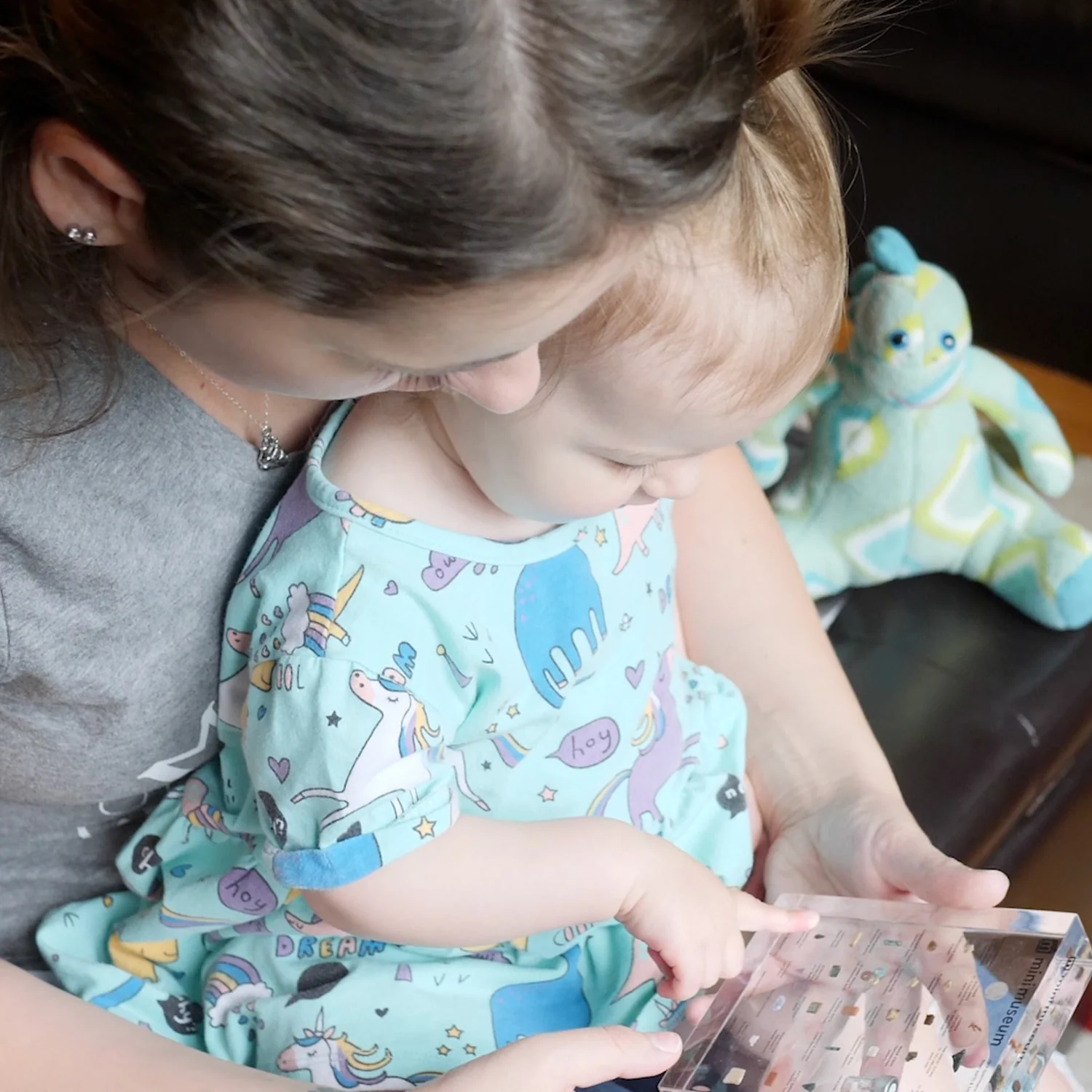 Mini Museum - Fourth Edition (LARGE - 29 Specimens) - Image 6