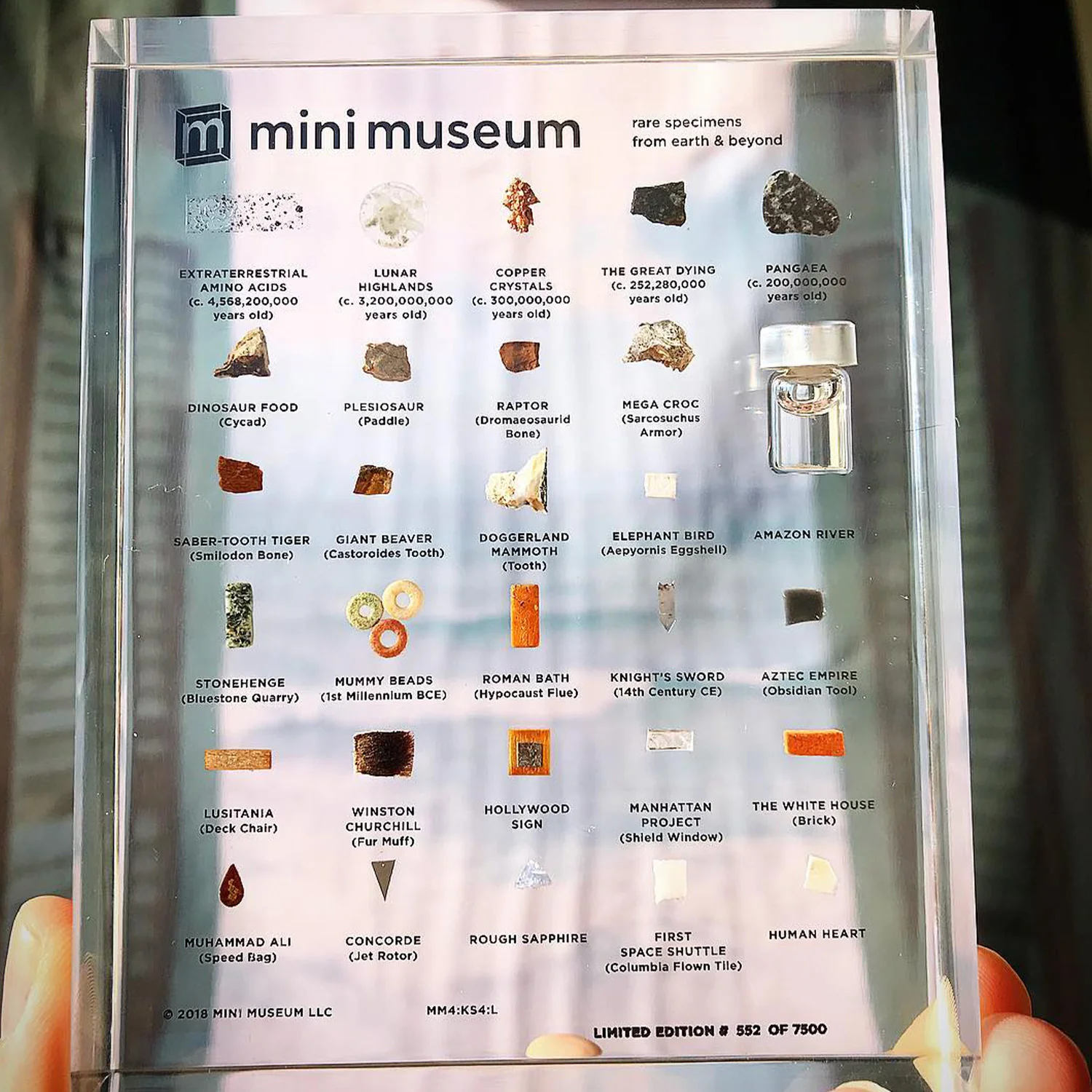 Mini Museum - Fourth Edition (LARGE - 29 Specimens) - Image 9