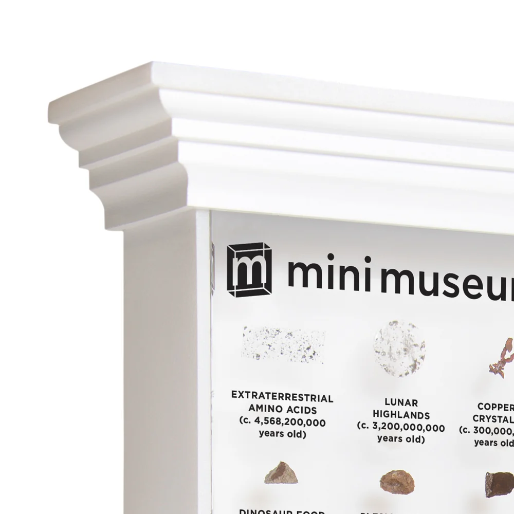 Mini Museum Illuminated LED Stand - Image 7