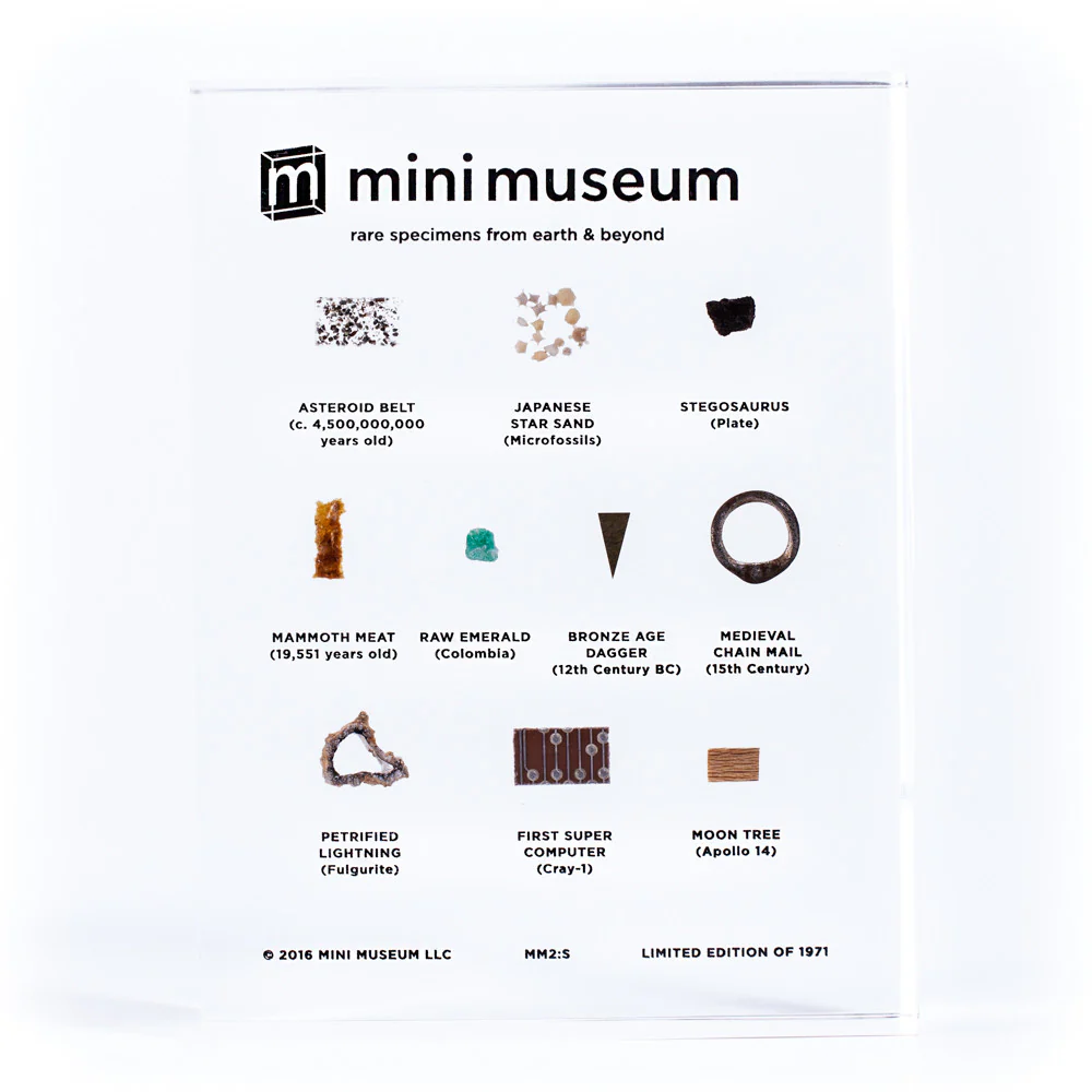 Mini Museum - Second Edition (SMALL - 10 Specimens) - Image 4