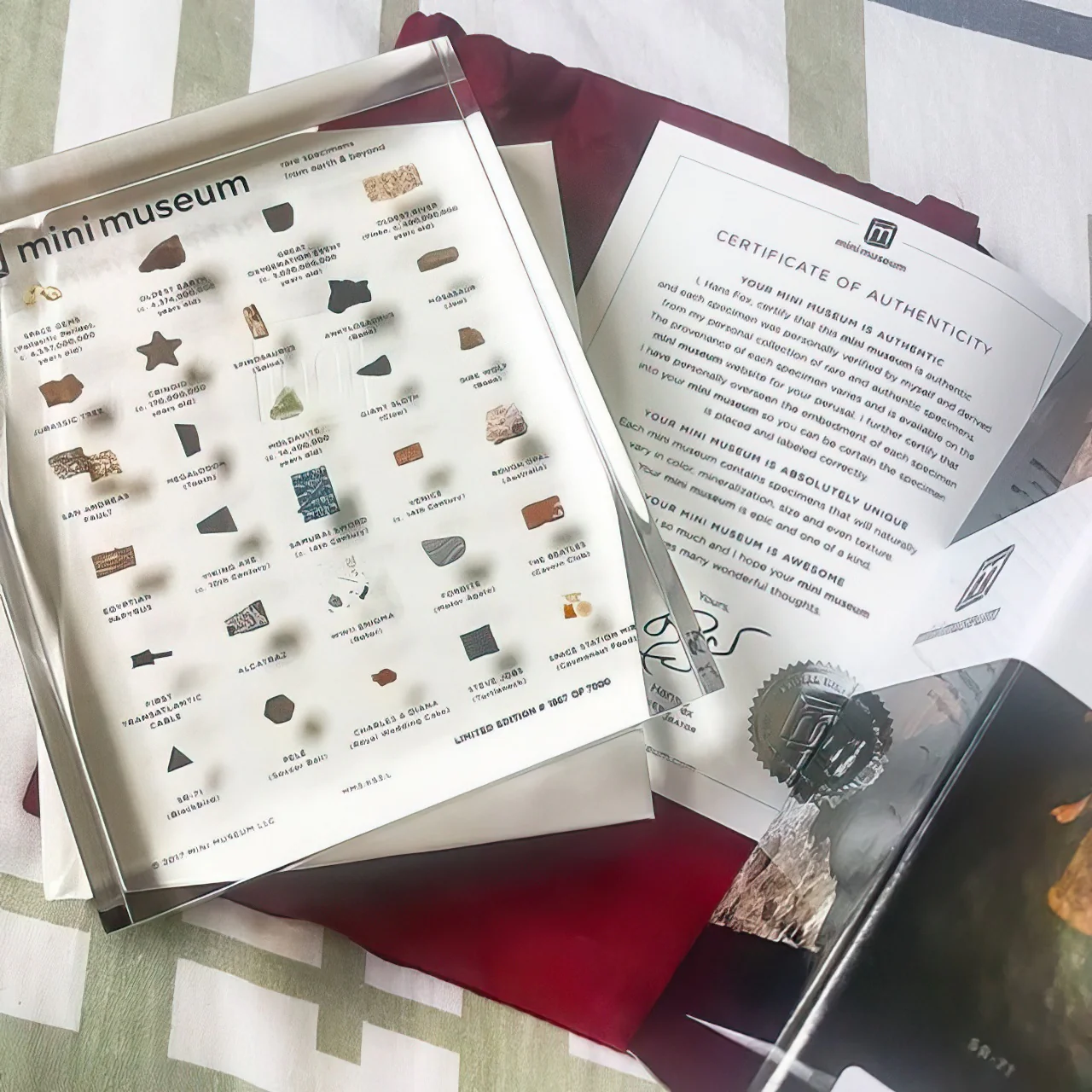 Mini Museum - Third Edition (LARGE - 29 Specimens) - Image 3