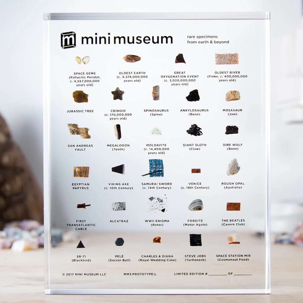 Mini Museum - Third Edition (LARGE - 29 Specimens) - Image 4