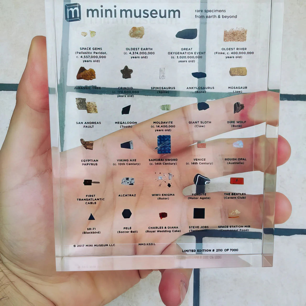 Mini Museum - Third Edition (LARGE - 29 Specimens) - Image 6
