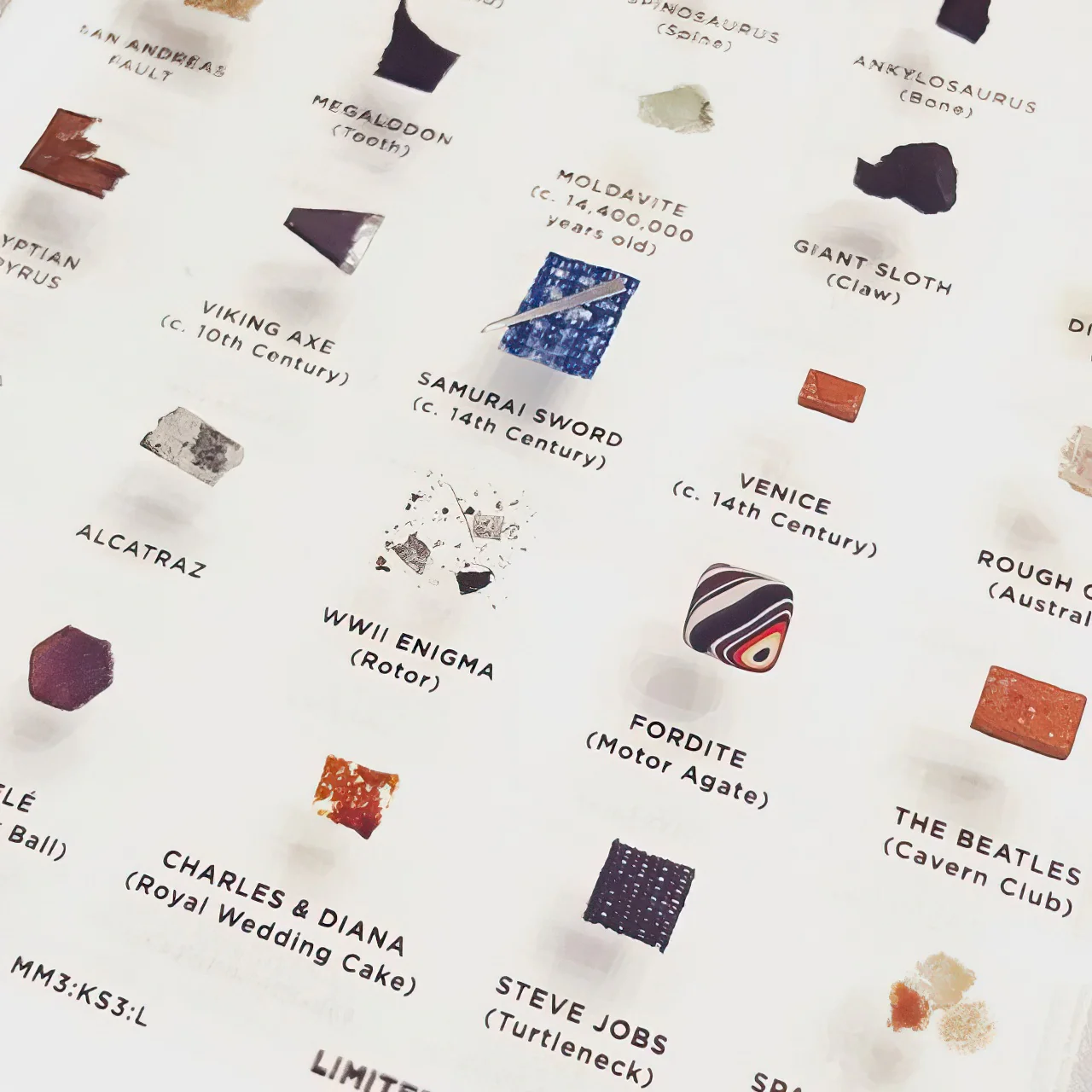 Mini Museum - Third Edition (LARGE - 29 Specimens) - Image 7