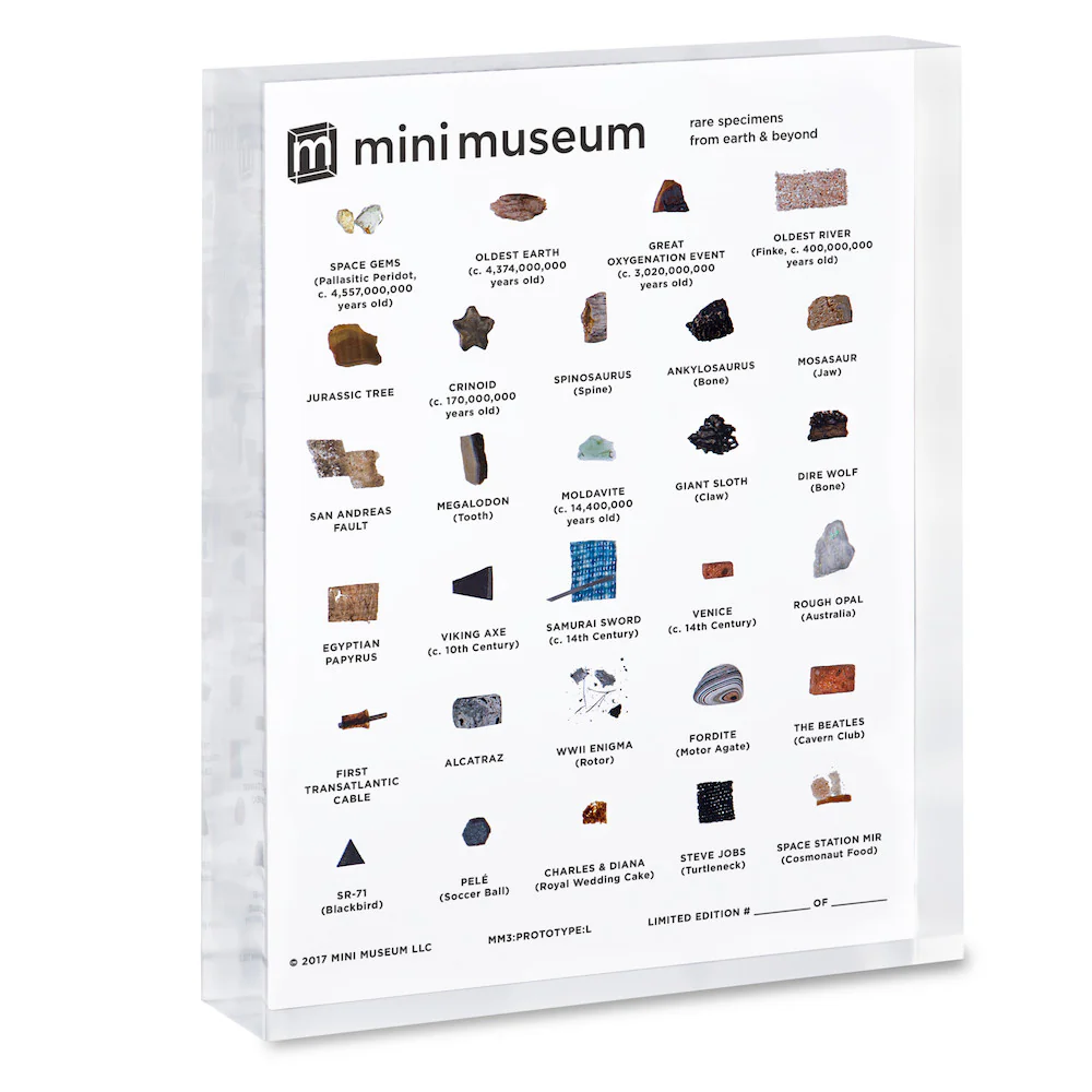Mini Museum - Third Edition (LARGE - 29 Specimens) - Image 9