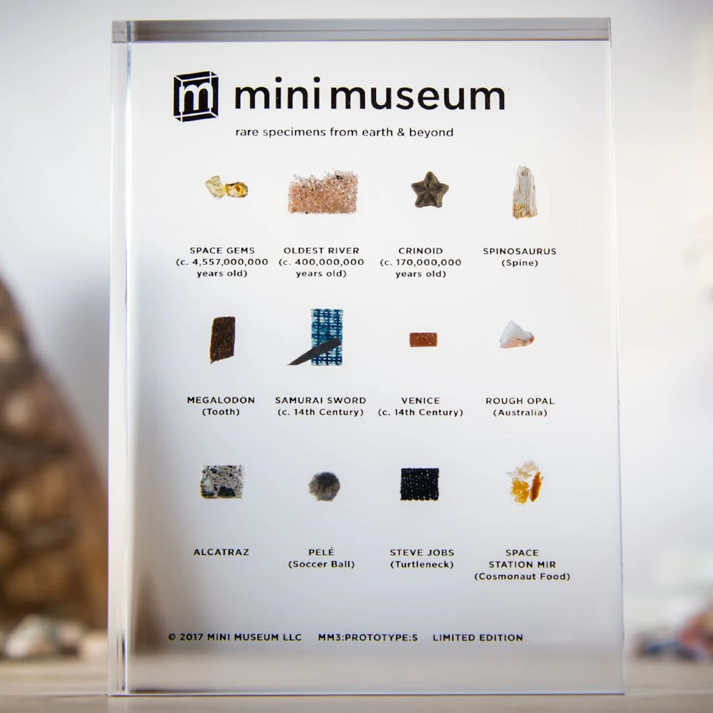 Mini Museum - Third Edition (SMALL - 12 Specimens) - Image 4