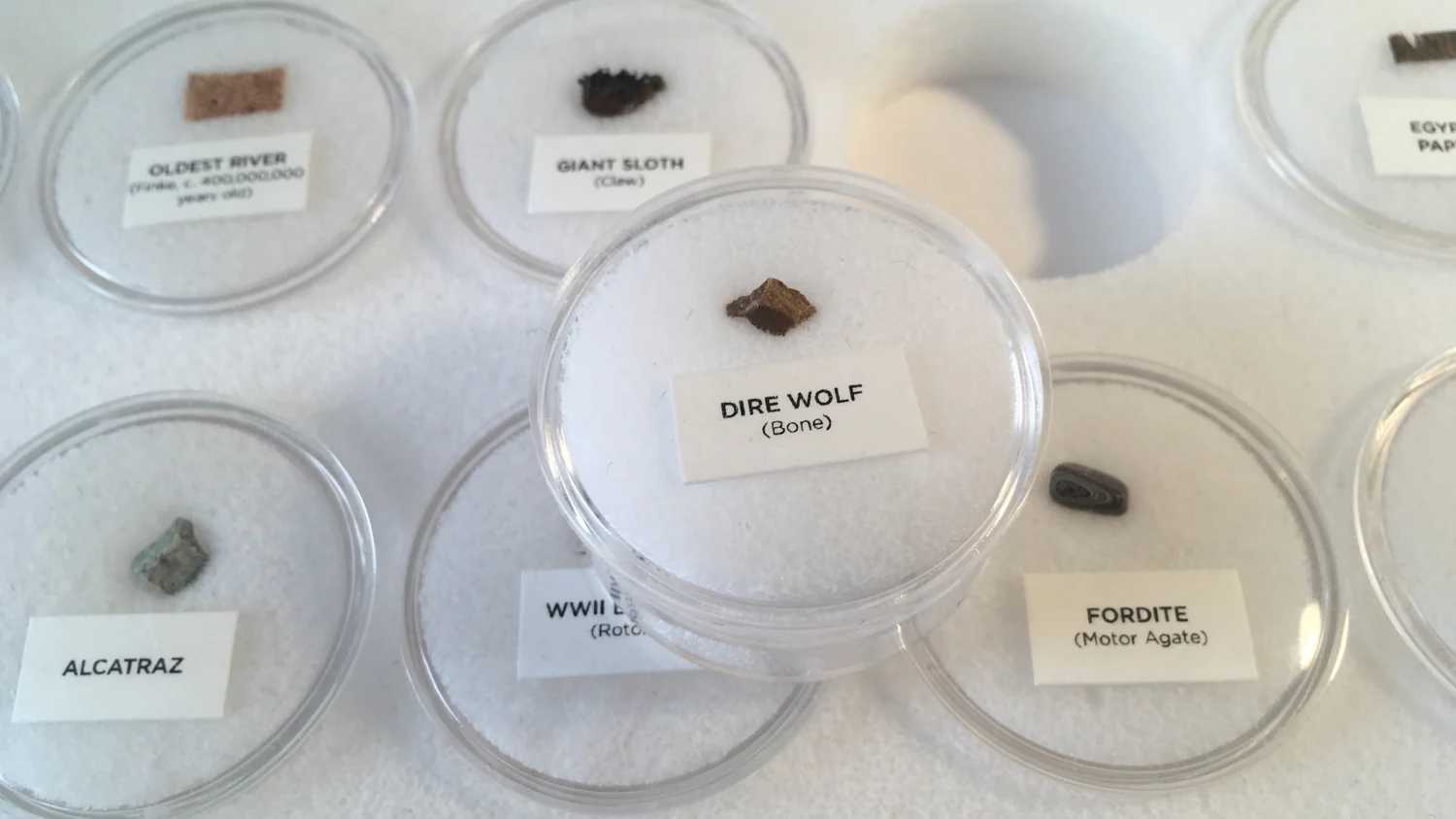 Mini Museum - Third Edition (TOUCH - 29 Specimens) - Image 4