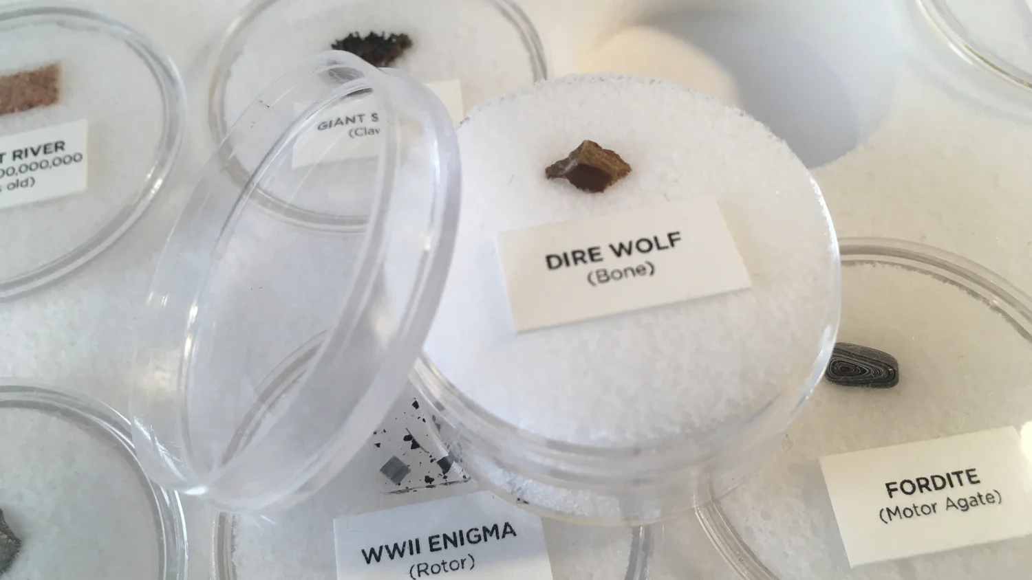 Mini Museum - Third Edition (TOUCH - 29 Specimens) - Image 5